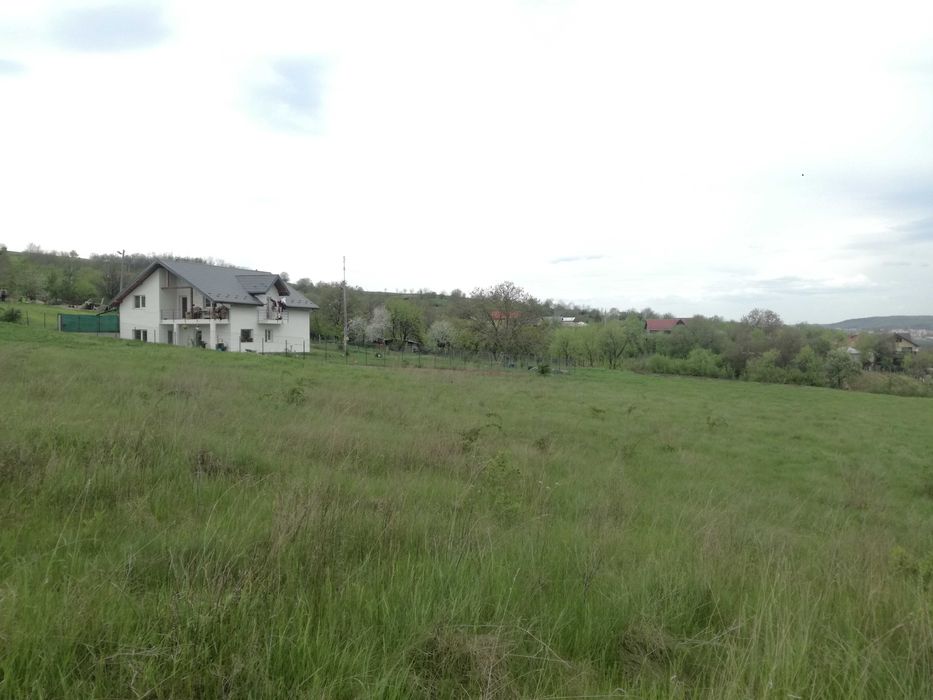 Loturi de casa in Uricani langa padure 55 euro/mp