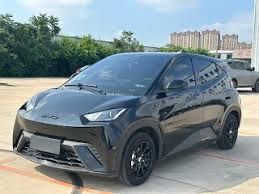 Сухой аренда byd seagull