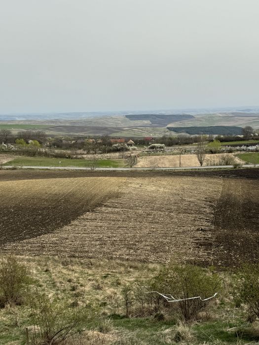 Teren de vanzare aiton Teren intravilan aiton 2900 m2