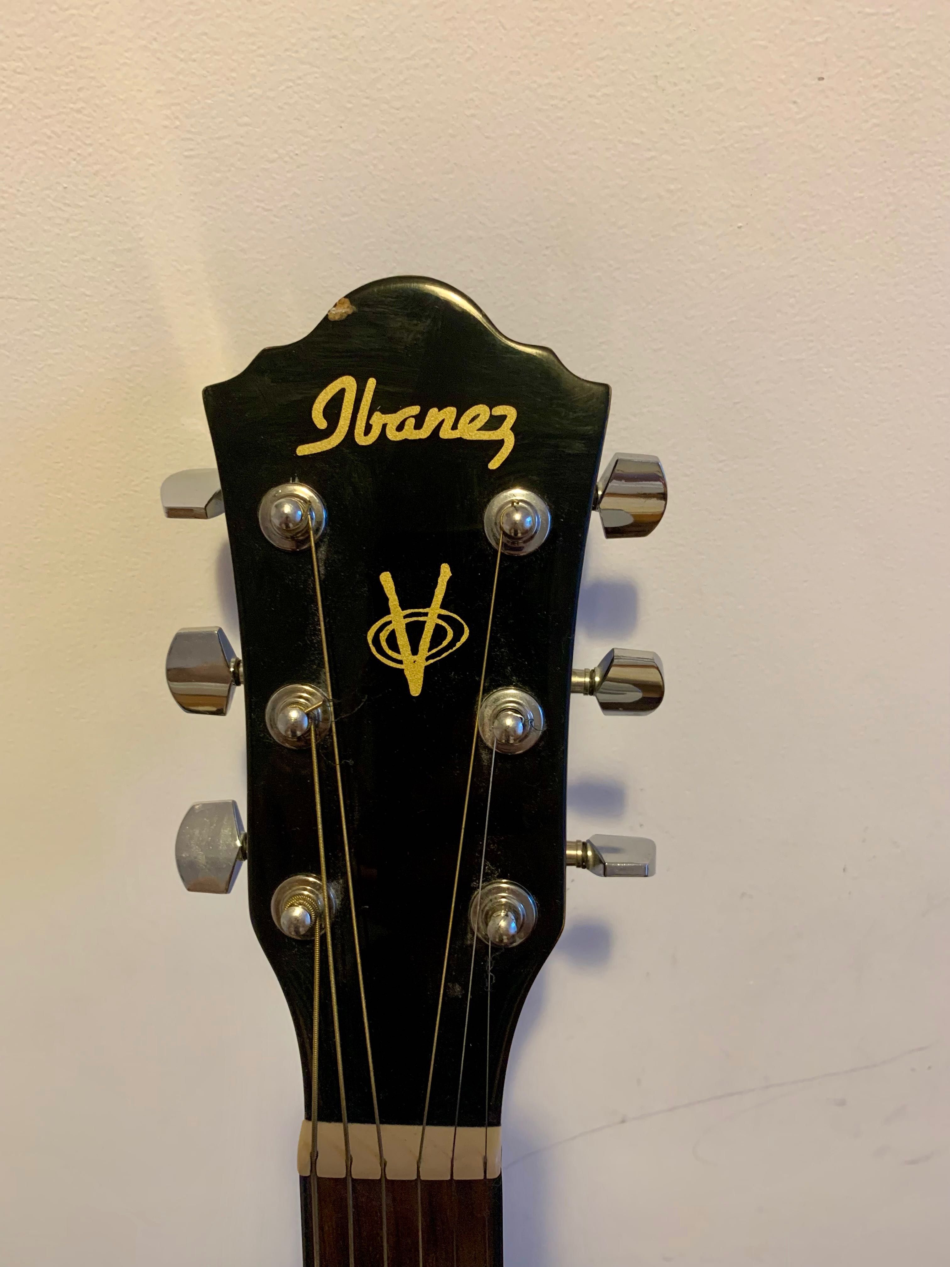 Chitara acustica Ibanez VC50NJP-NT