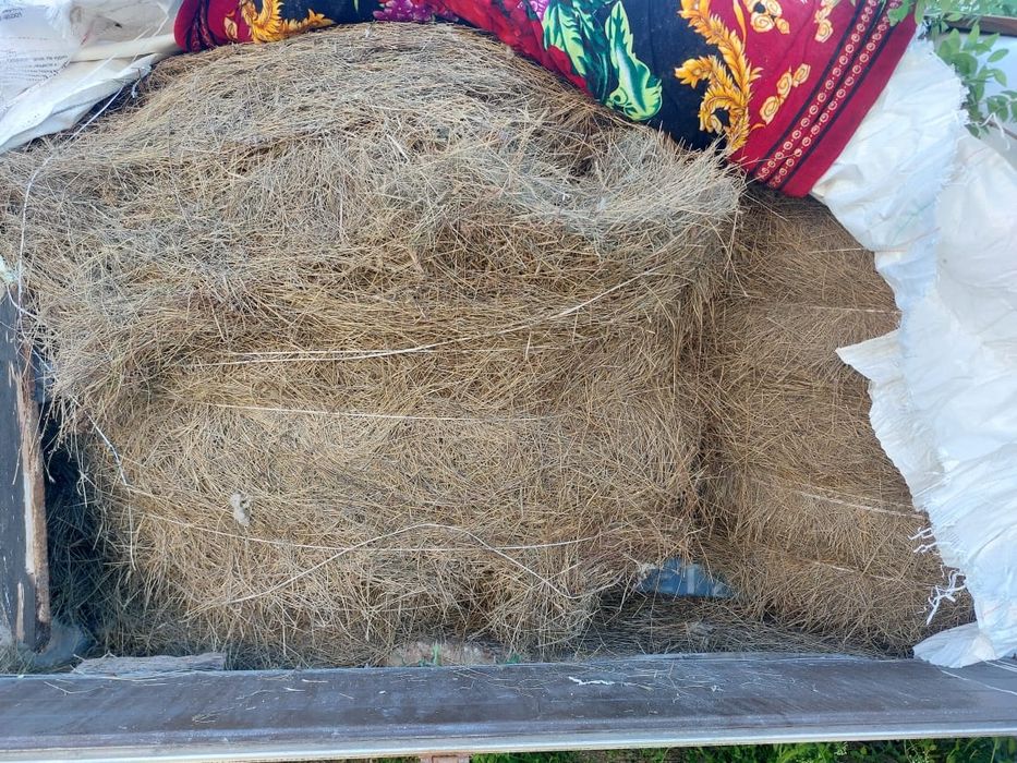 1 рулон шөп. Биылғы шөп.