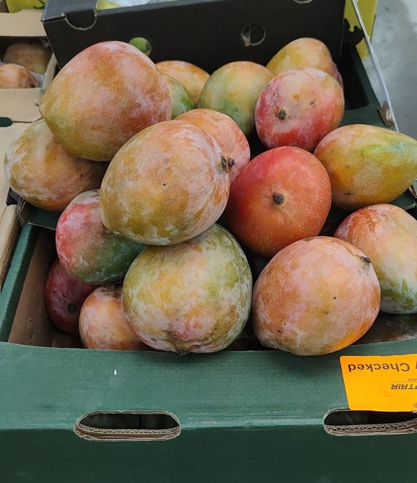 Mango ready to eat