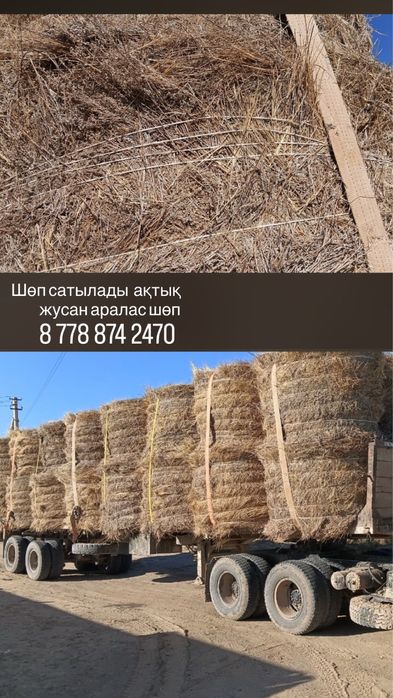 шөп сатылады ақтық жусан аралас 10мың тенге