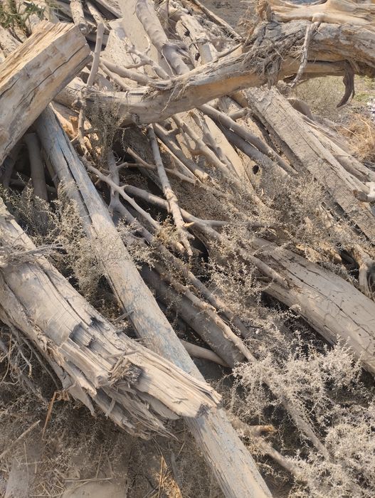 Òtin sotiladi kelishamiz