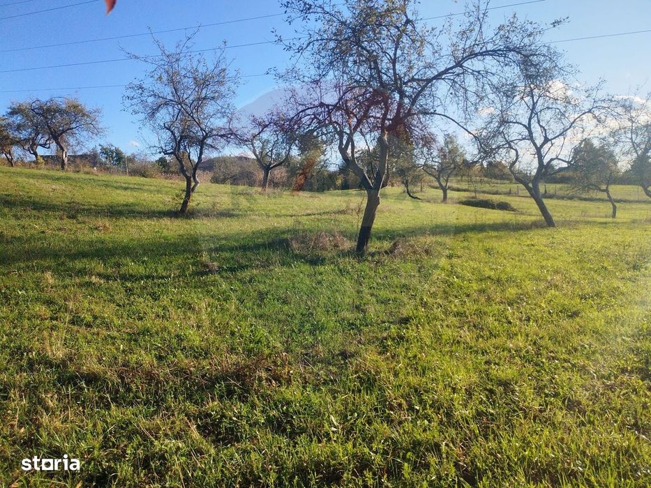 Teren zona superba Șișești