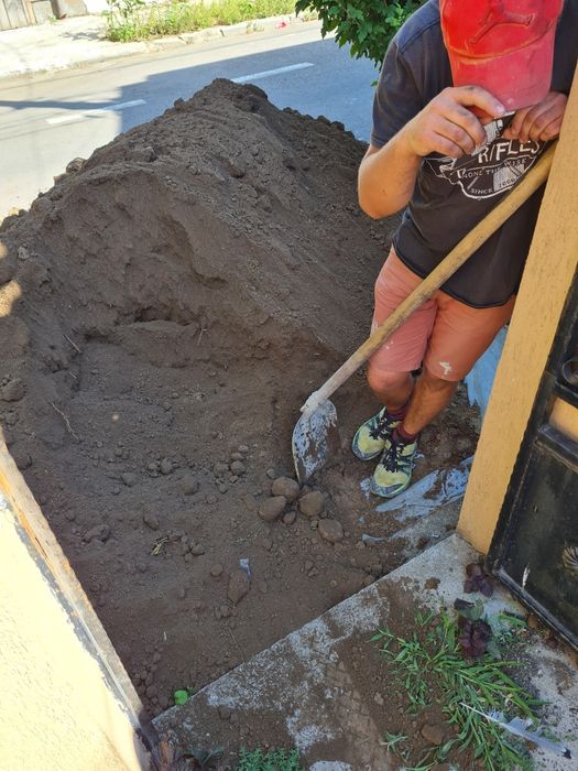 Pământ negru veget