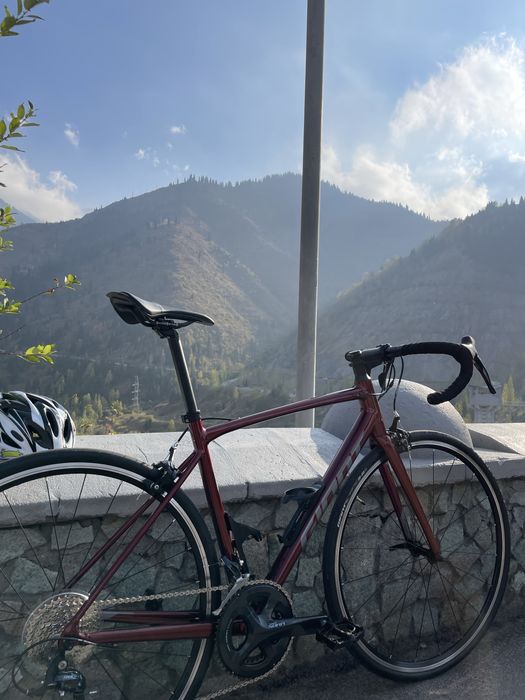 Giant Contend 1 (2024года самая новая модель)