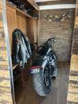 Harley Davidson V Rod Muscle