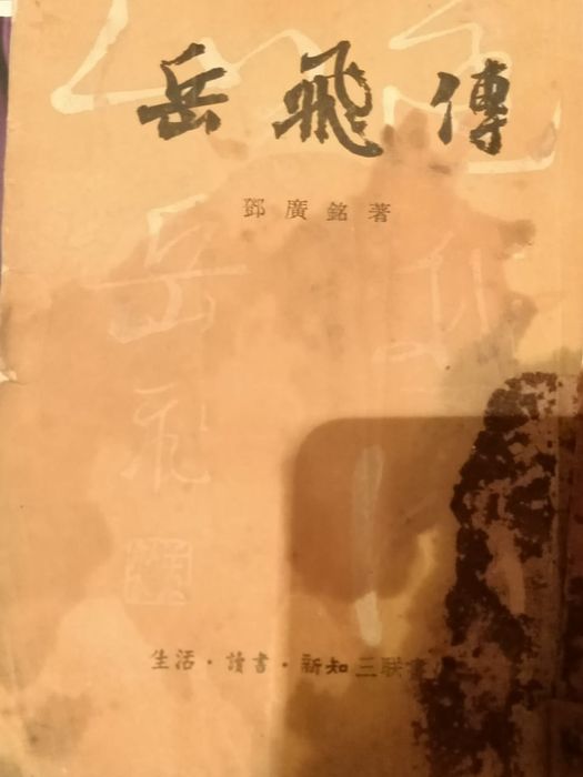 Книга история,труды,о Китайском военначальнике