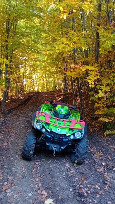 Can am outlander 450 2019