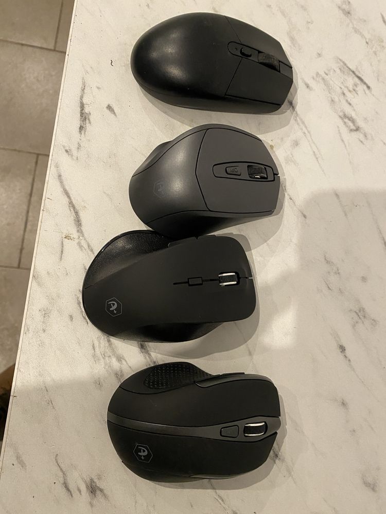 4 Mouse functionale