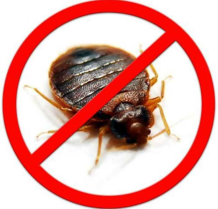 Дезинфекция Уничтожение тараканов клещей комаров крыс муравьев клопов