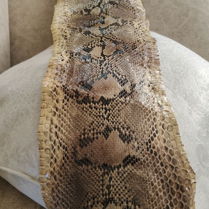 Огромна оригинална кожа от питон