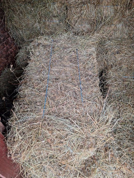 Vînd baloți de lucerna și fîn inpreunat cu lucerna (clae)