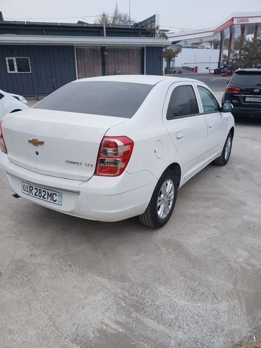 Haxt arenda 2025 kobilt masla tayor.