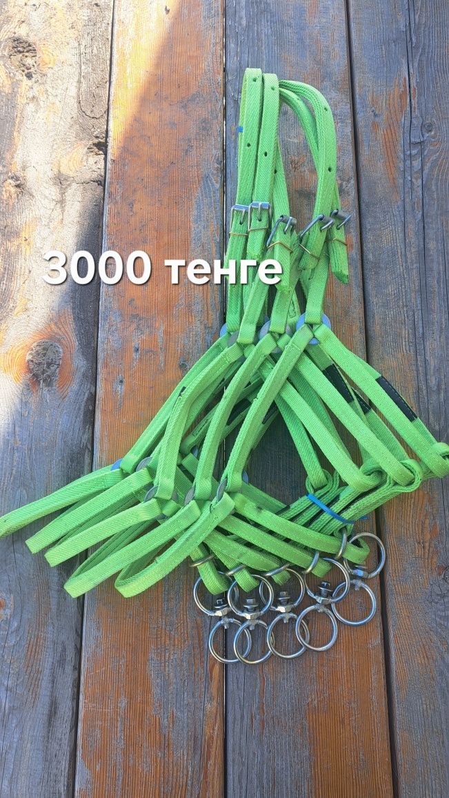 Недоуздок,  нокта