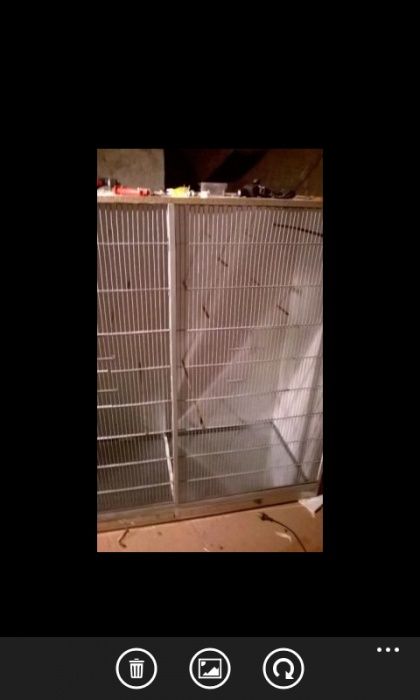 Colivii pentru păsări de apartament