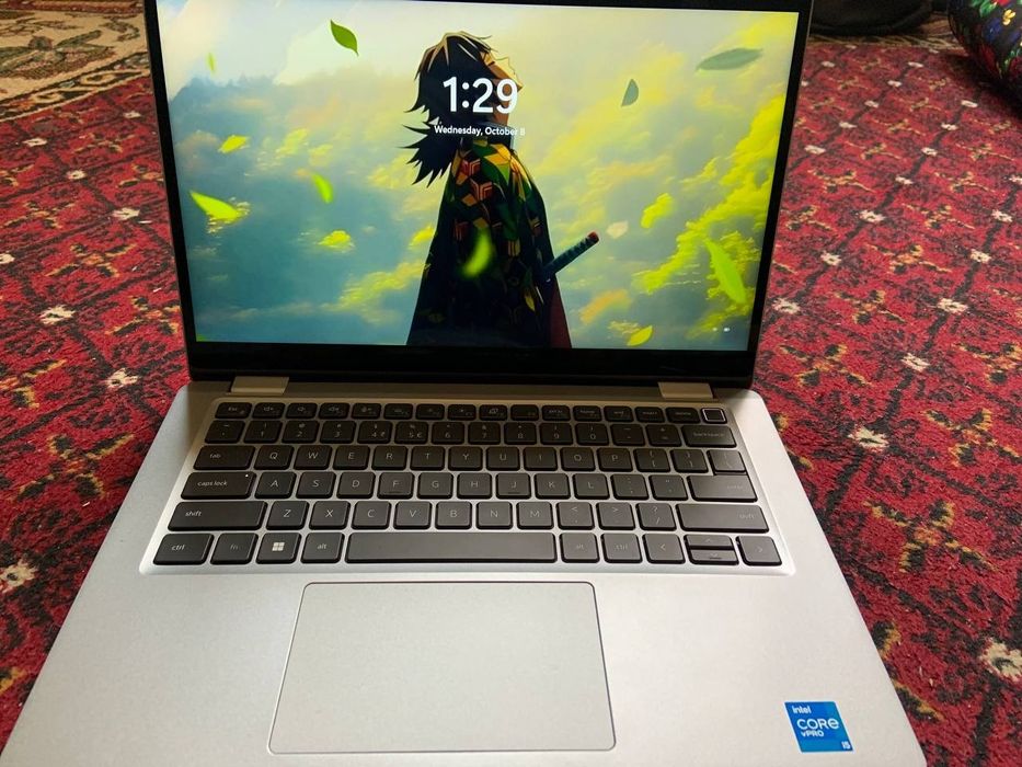 Dell Windovs 11 250