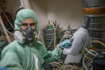 Дезинфекция Dezinfeksiya Дезинсекция Дератизация крыс мышей блох