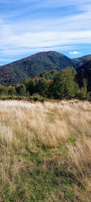 Продава се Земеделски имот в с. Сивино, Област Смолян -  кв.м за 1900 €/дка - Снимка #6