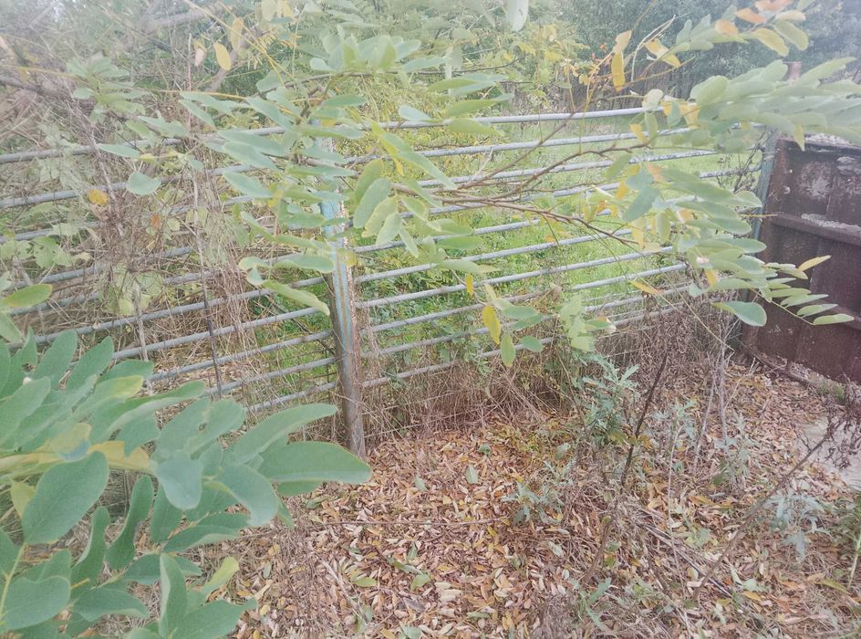 Gard la preț de fier vechi