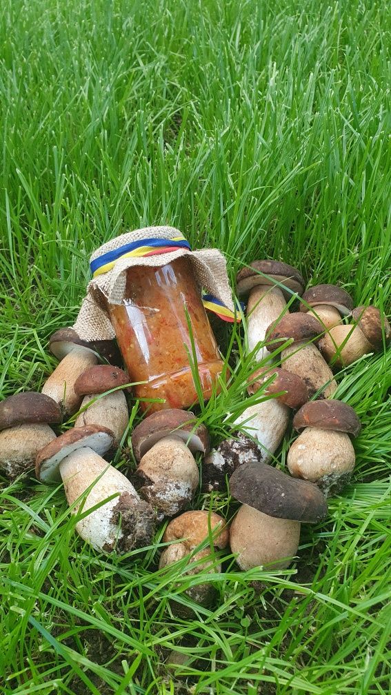 Ciuperci la borcan (hribi in oțet) și zacusca + iutari