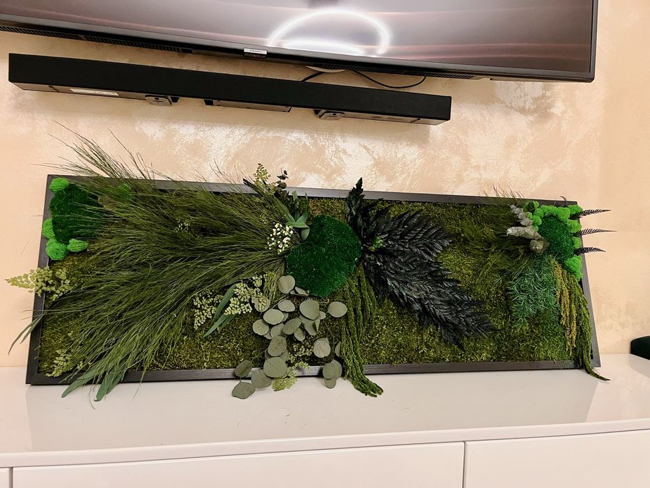 Tablouri cu licheni, plante stabilizate si muschi