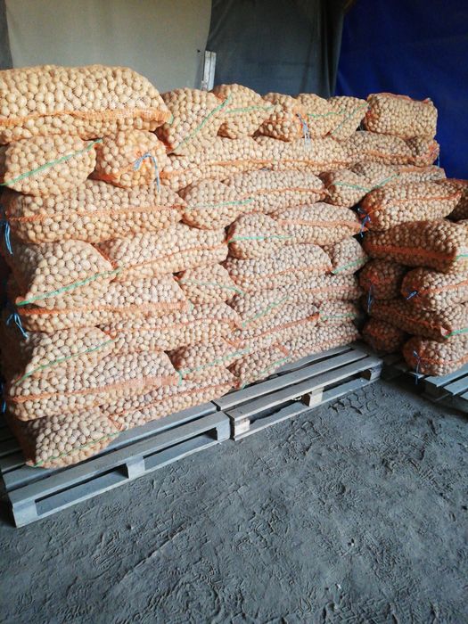 Cartofi pentru animale marunt