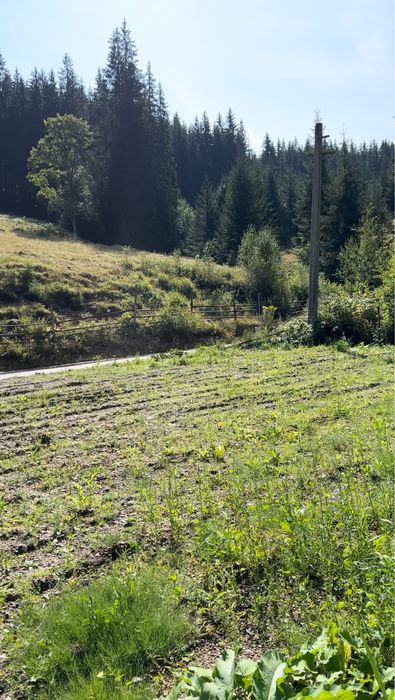 Teren,500mp, Vatra Dornei, langa telescaun, asfalt, zona deosebita