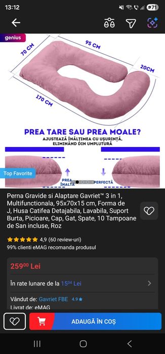 Perna gravida / însarcinata