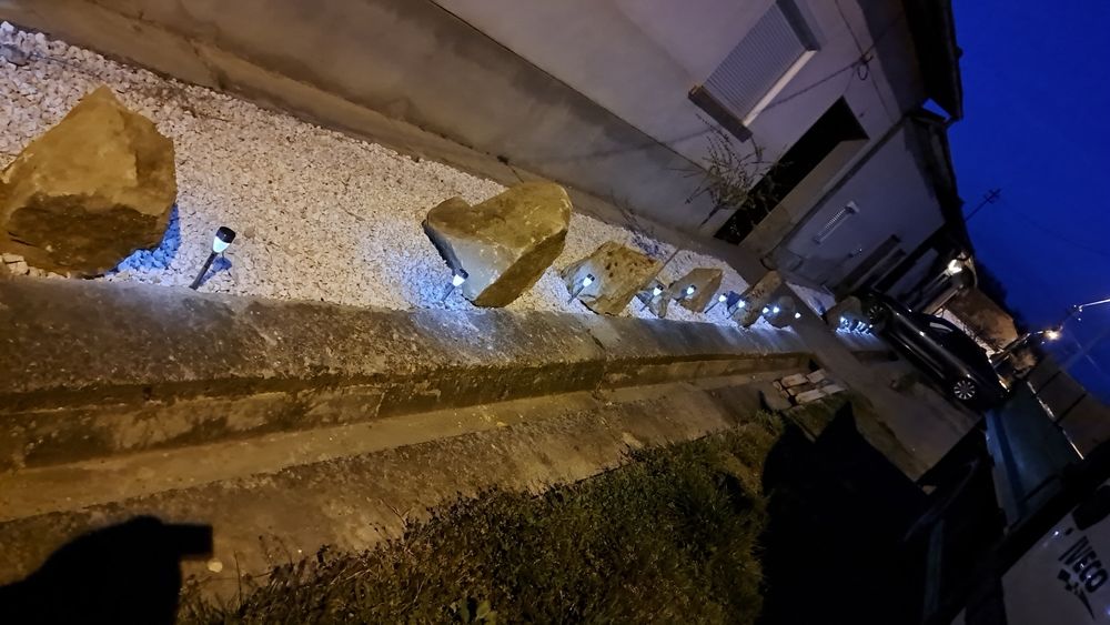 Vand bolovani ornamentali