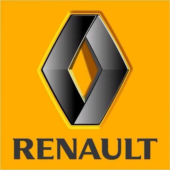 Кузовные запчасти на Рено (Renault) в наличии и на заказ
