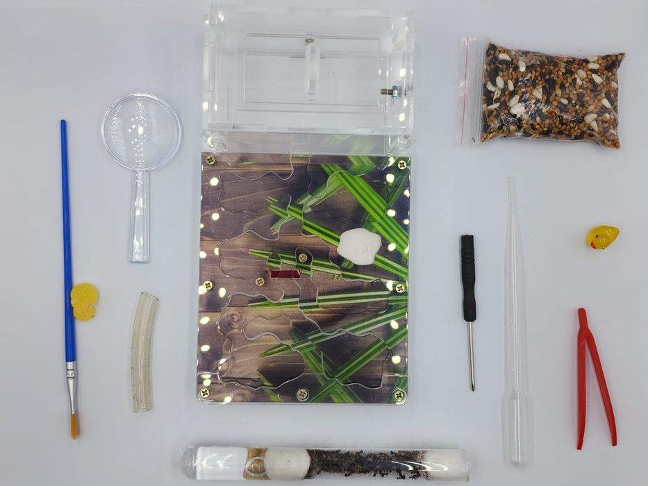 муравьиная ферма!!