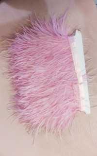 Розови щраусови пера
