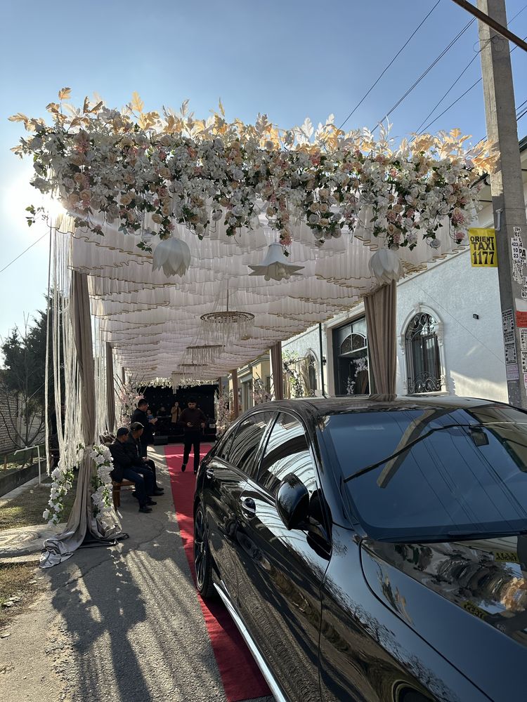 Офармления Afarmleniya Decor
