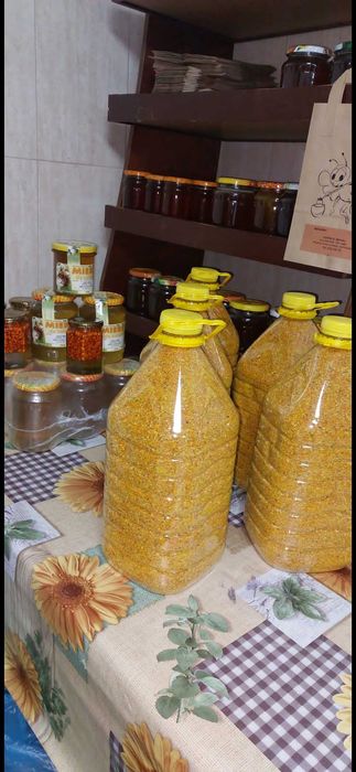 Polen crud si uscat de primavara