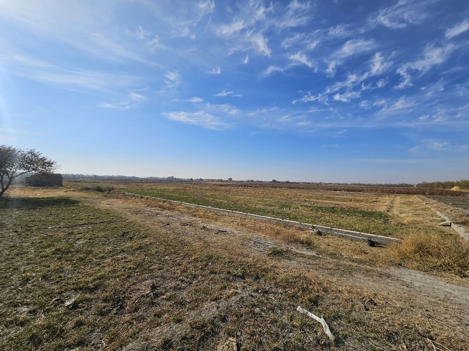 Навбахор Уч тут да жойлашган экинлик ер майдони сотилади