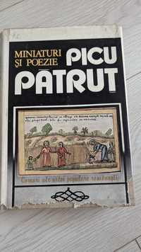 Picu Pătruț - Miniaturi și poezie