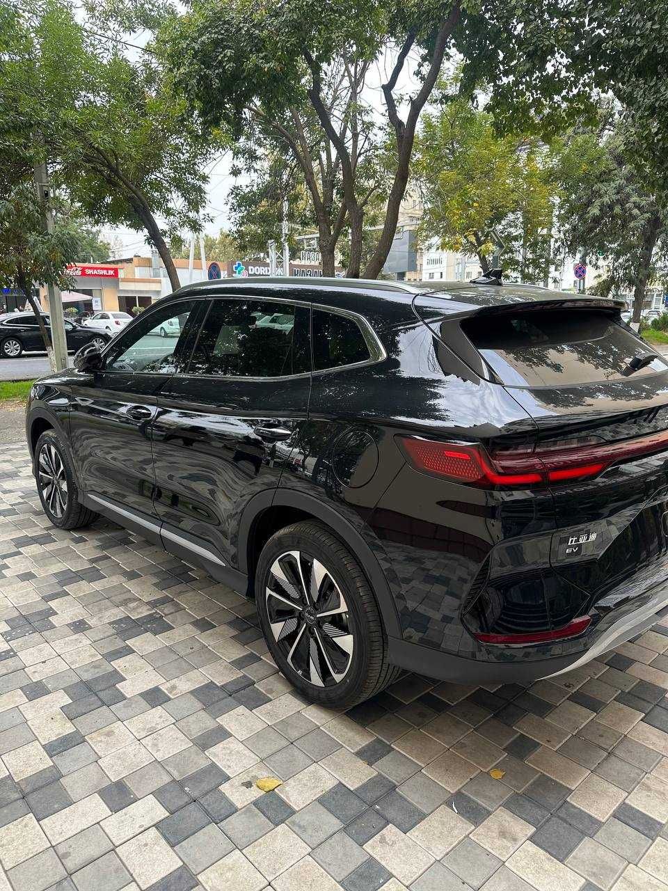 BYD Champion 605 km 2025