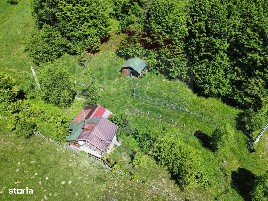 Comision 0%! Proprietate in natura, priveliste superba, Sita Buzaului