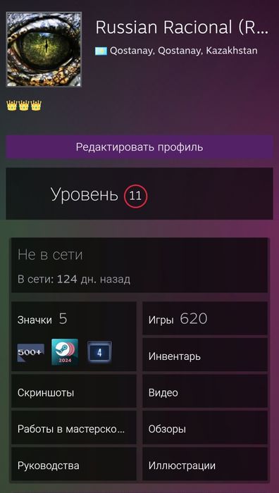 Аккаунт Steam: 600+ игр, 11 уровень, 1 пользователь, регион Казахстан!