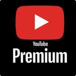 YouTube Premium (1 месяц, семейка)