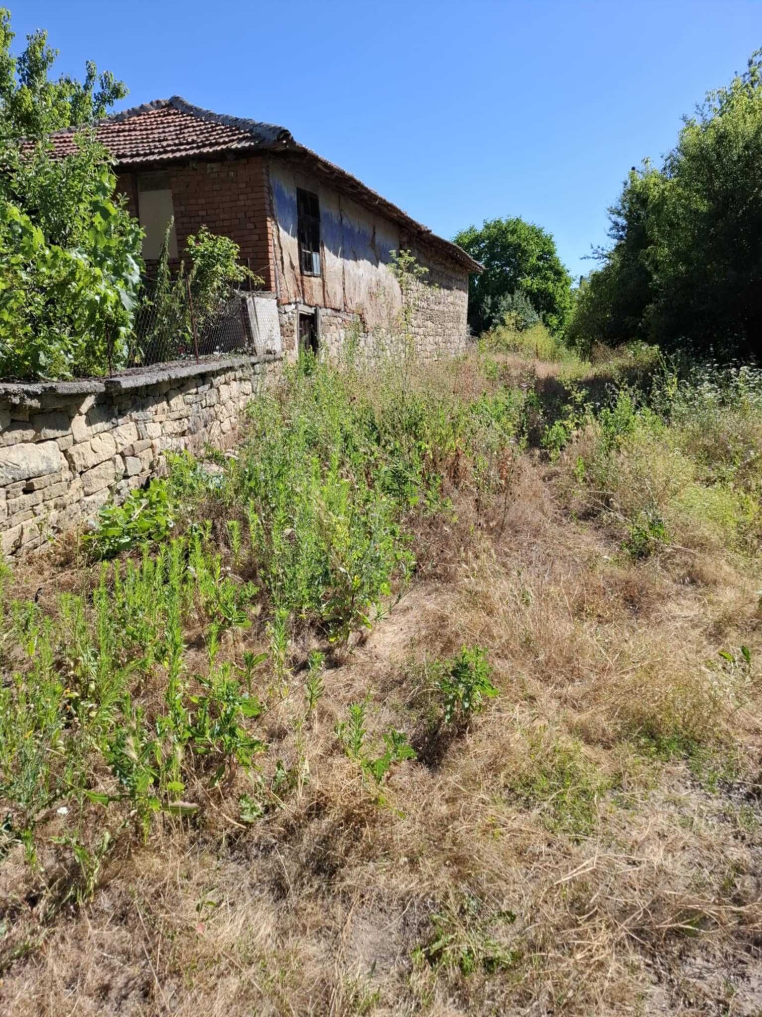 Косене на Трева, Подрязване на Храсти и Клони в гр. Бургас и Региона.
