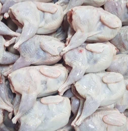 Бөдене еті. Тушки перепелов.