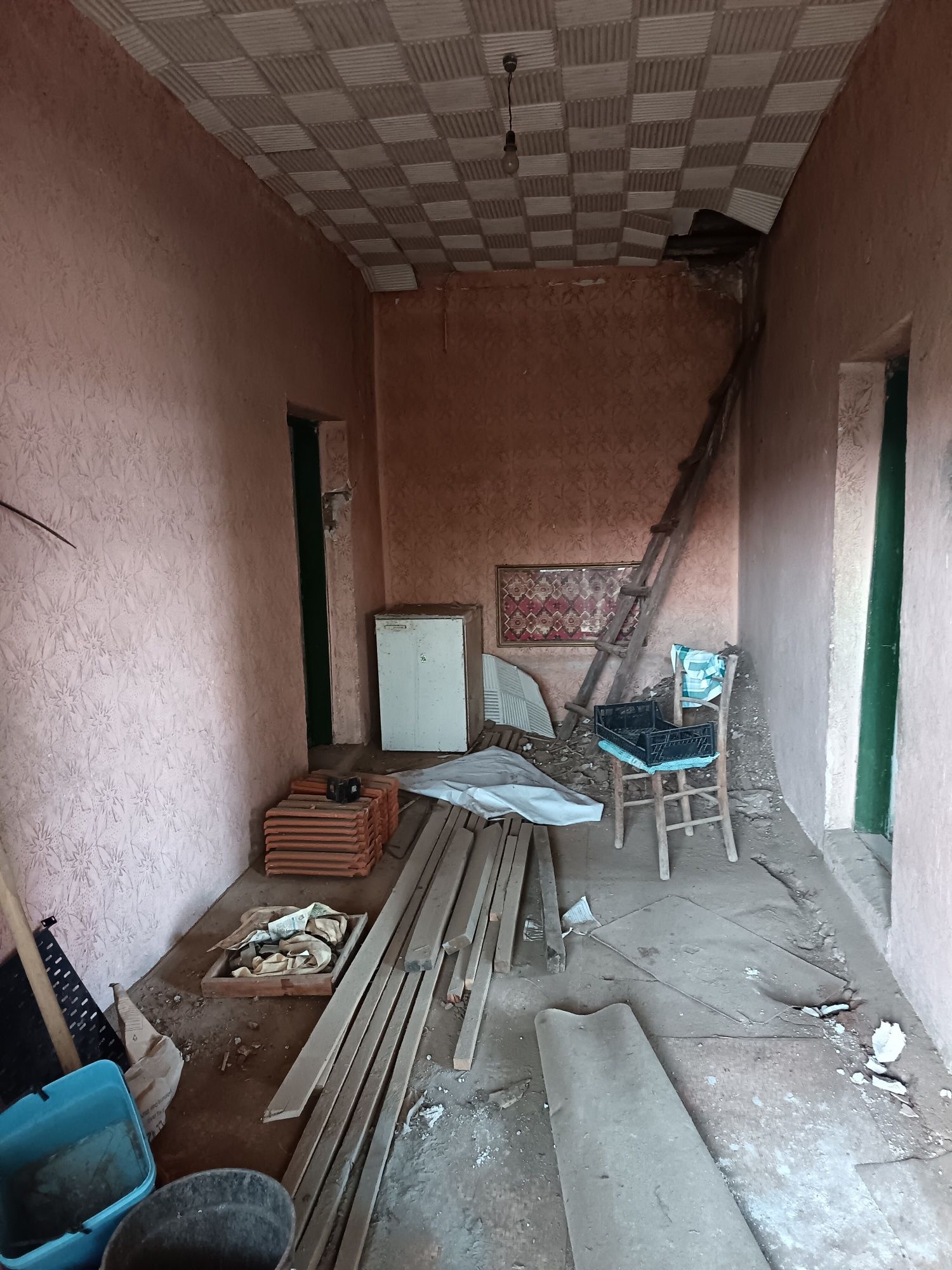 Едноетажна  къща в село до Свиленград