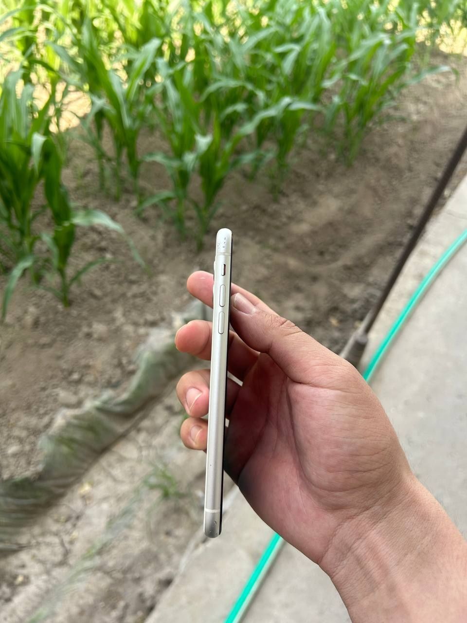 Iphone 11 Sotiladi 2 ta bor Qora rangi ham bor