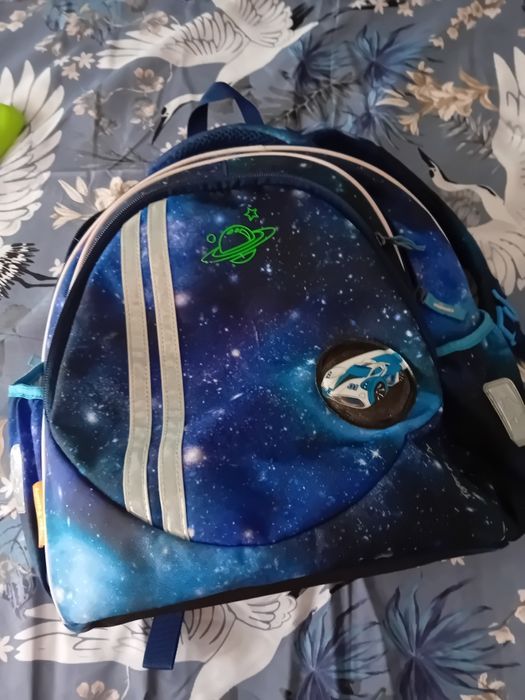 Ghiozdan Tiger Family