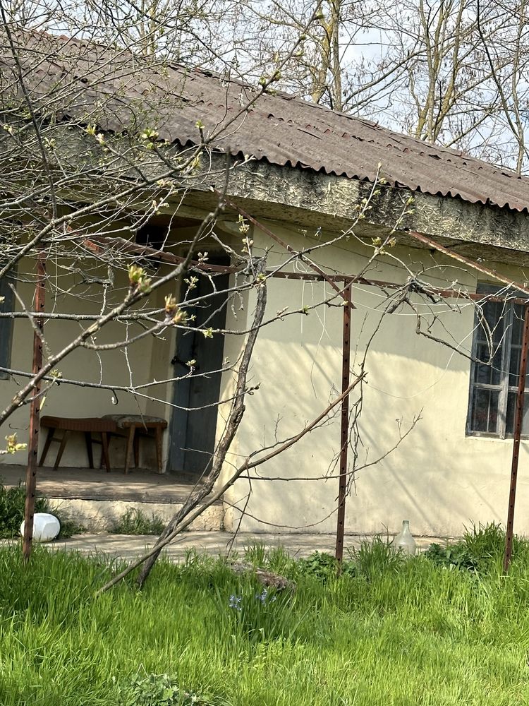 Дворно място с къща село Богданово, Добричка община