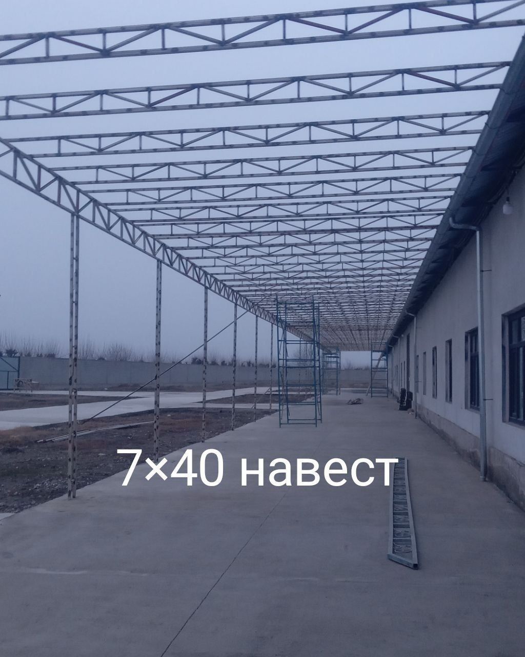Том навес типлитца хизматлари