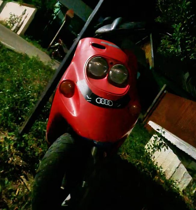 Vând malaguti f 10